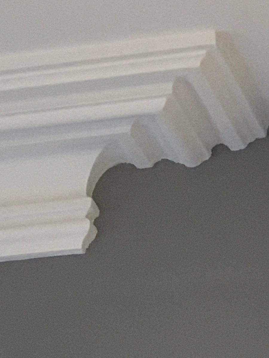 DM1854 Grand London Victorian Cornice (Ceiling 210mm x 120mm Wall) - Image 3