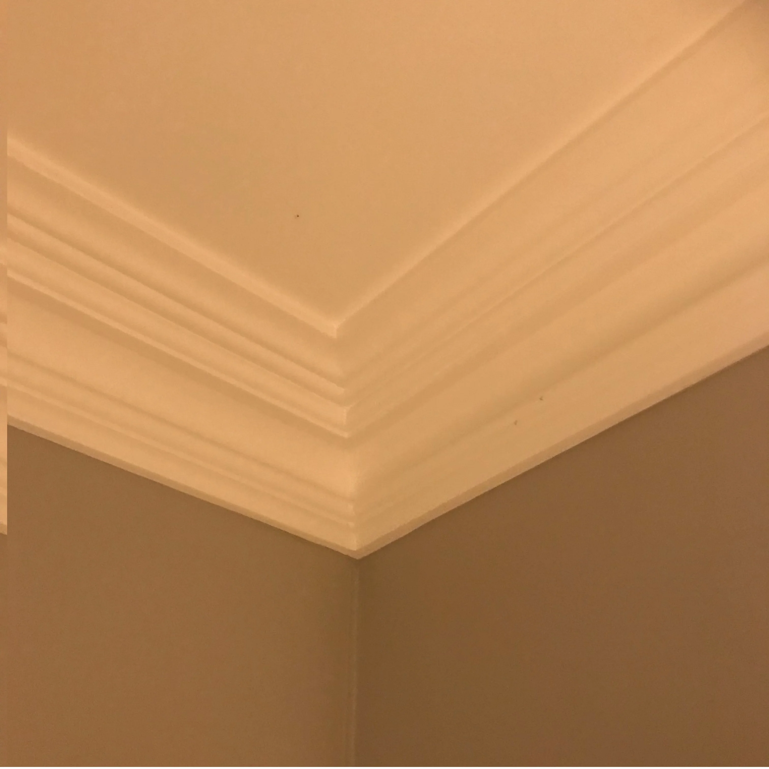 DM1855 Edwardian Coving (120mm x 95mm) - Image 2
